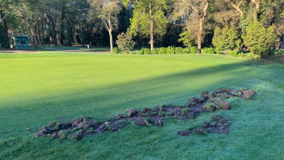 Appel aux bénévoles