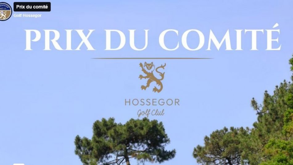 Prix du comité : La vidéo