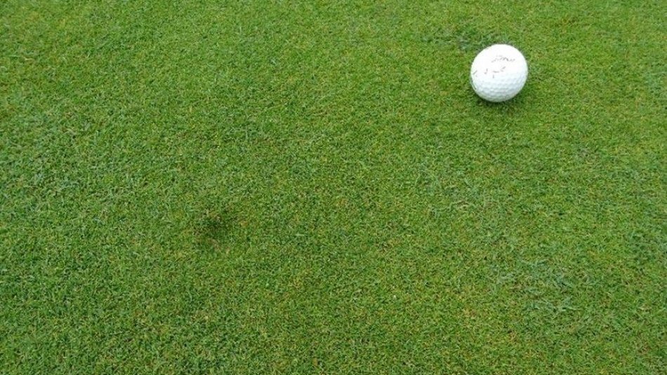 POURQUOI FAUT-IL REPARER SES PITCHS?